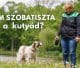 nem szobatiszta a kutyád